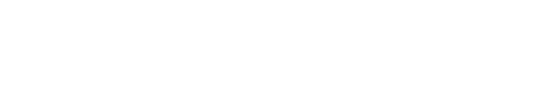 ERP Servise